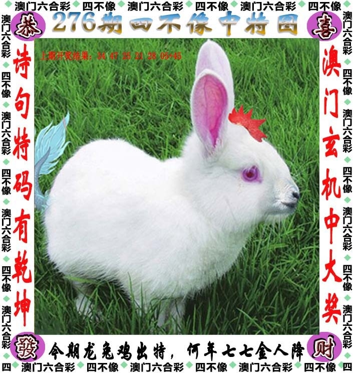 2025276期：澳门四不像，描绘205期澳门天天彩玄机:金鸡报晓在三更;解析2025新澳门天天免费6肖12码：【鼠牛虎兔龙马,3-6-10-15-21-23-25-27-32-43-45-47】