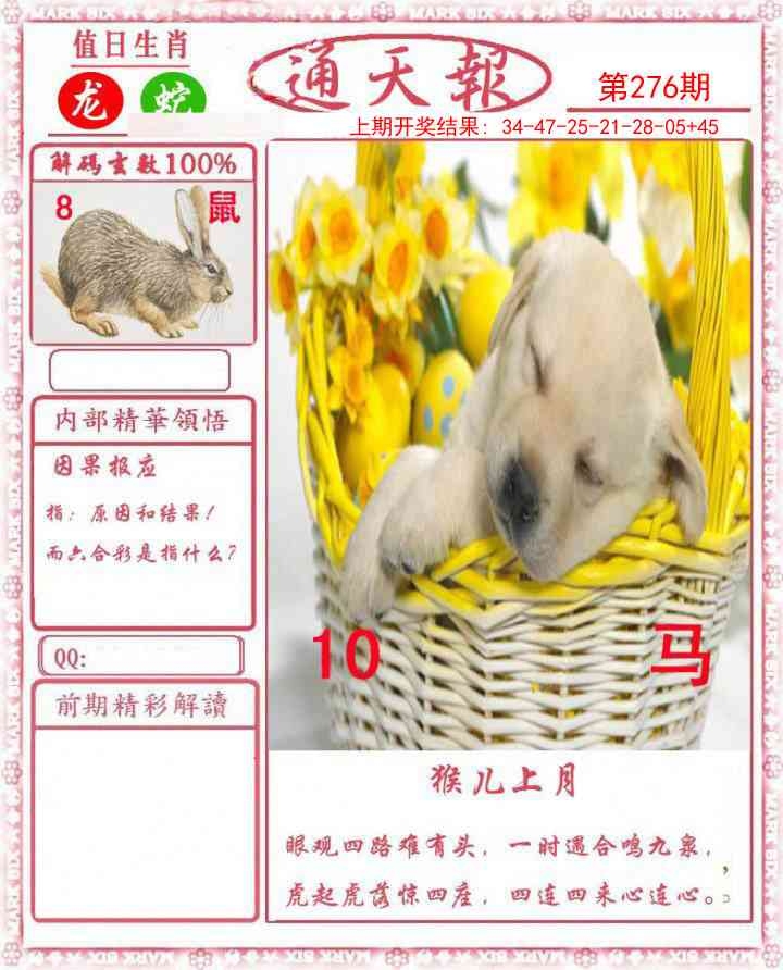 2025276期：正版通天报，描绘2025资料正版大全玄机:金鸡报晓在三更;解析2025最全免费正版大全6肖12码：【鼠牛虎兔龙马,3-6-10-15-21-23-25-27-32-43-45-47】