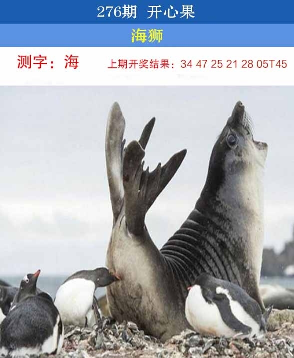 2025276期：开心果先锋，描绘2025澳门六今晚开奖结果玄机:金鸡报晓在三更;解析2025澳门六今晚开奖结果出来6肖12码：【鼠牛虎兔龙马,3-6-10-15-21-23-25-27-32-43-45-47】