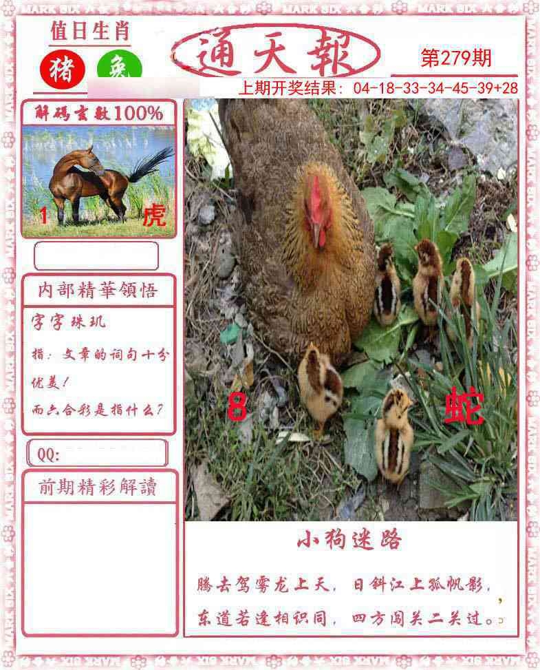 2025279期：正版通天报，描绘2025资料正版大全玄机:说破玄机不为奇;解析2025最全免费正版大全3肖6码：【虎兔马,10-27-30-33-43-48】
