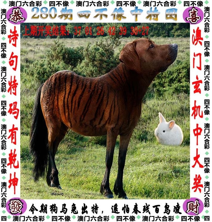 2025280期：澳门四不像，描绘205期澳门天天彩玄机:元宵十五好佳节;解析2025新澳门天天免费6肖12码：【鼠虎龙羊鸡狗,1-6-7-14-24-25-29-30-38-45-47-48】