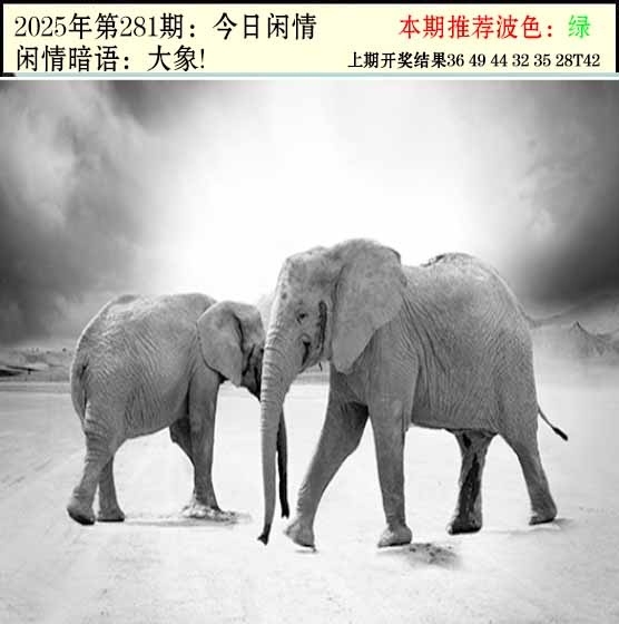 2025281期：今日闲情２，描绘2025期期精准免费玄机:买三用六合;解析2025澳门六今晚开奖结果6肖12码：【虎兔蛇马猴鸡,3-4-22-23-28-32-35-37-39-42-44-49】