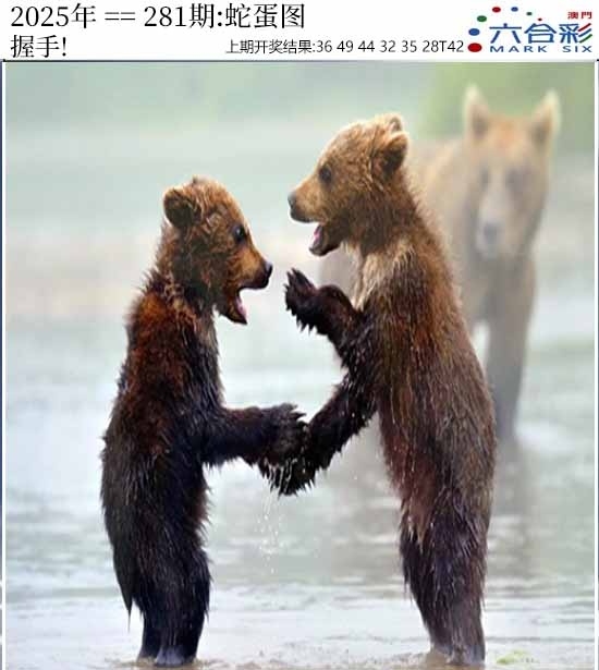 2025281期：澳门蛇蛋图，描绘205期澳门天天彩玄机:买三用六合;解析2025新澳门天天免费6肖12码：【虎兔蛇马猴鸡,3-4-22-23-28-32-35-37-39-42-44-49】
