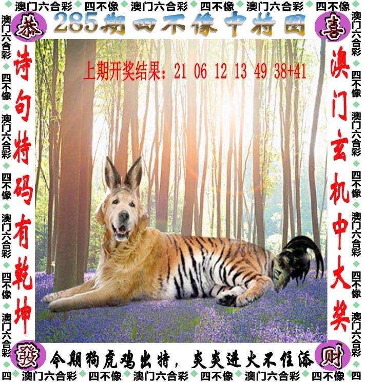 2025285期：澳门四不像，描绘205期澳门天天彩玄机:绿花定会开;解析2025新澳门天天免费6肖12码：【牛龙蛇马羊鸡,2-3-5-10-12-13-18-19-24-26-47-49】