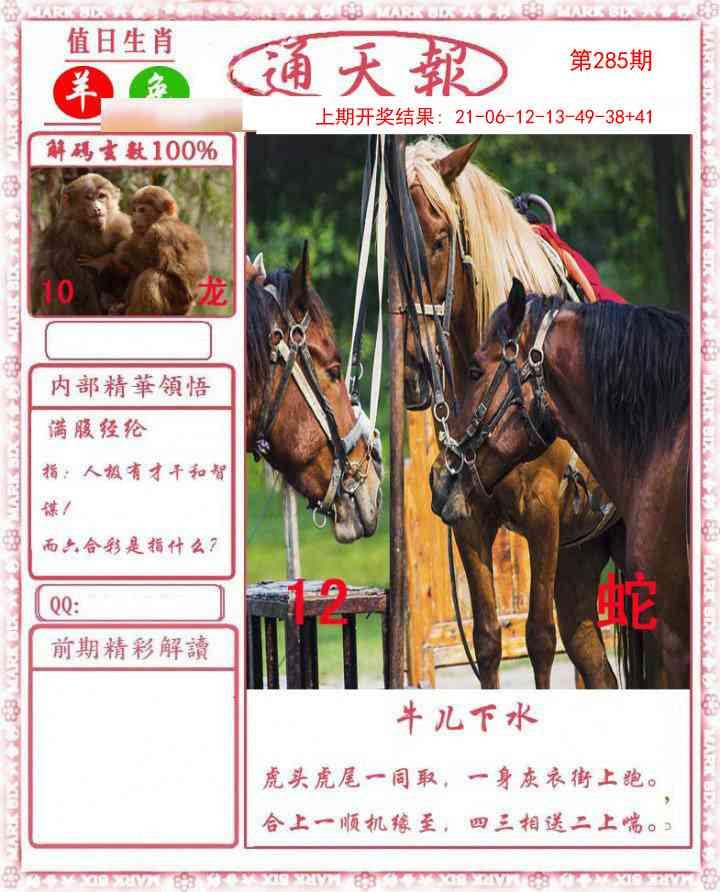 2025285期：正版通天报，描绘2025资料正版大全玄机:绿花定会开;解析2025最全免费正版大全6肖12码：【牛龙蛇马羊鸡,2-3-5-10-12-13-18-19-24-26-47-49】