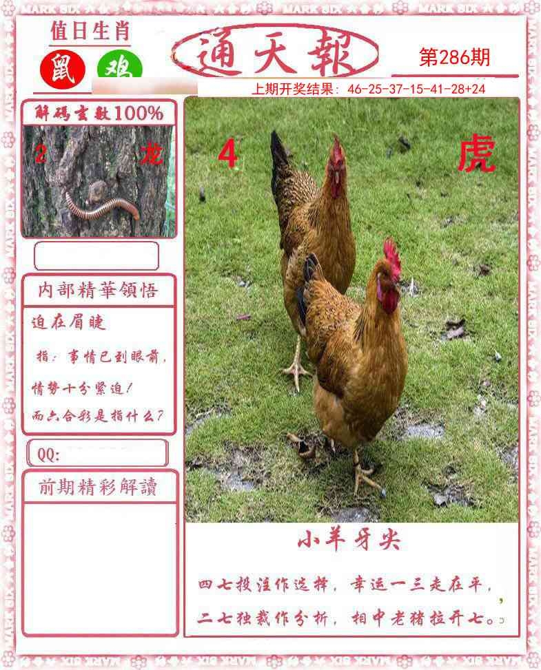 2025286期：正版通天报，描绘2025资料正版大全玄机:四前九后有玄机;解析2025最全免费正版大全6肖12码：【鼠牛蛇猴狗猪,5-6-17-20-24-27-28-33-41-42-45-48】