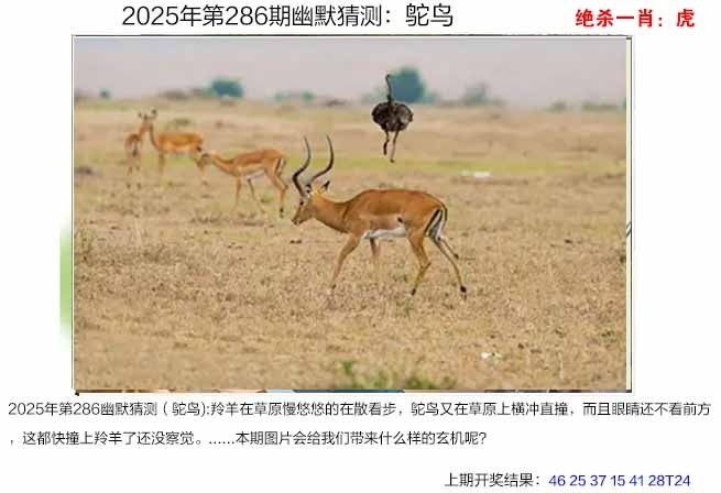 2025286期：澳幽默猜测，描绘205期澳门天天彩玄机:四前九后有玄机;解析2025期期精准免费6肖12码：【鼠牛蛇猴狗猪,5-6-17-20-24-27-28-33-41-42-45-48】