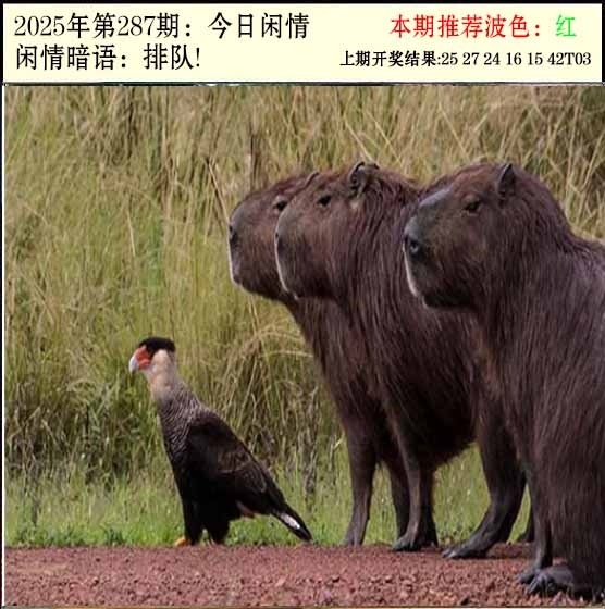 2025287期：今日闲情２，描绘2025期期精准免费玄机:幸运号码中大奖;解析2025澳门今晚开奖结果6肖12码：【虎龙蛇羊猴鸡,9-11-14-24-26-27-28-32-36-41-45-49】