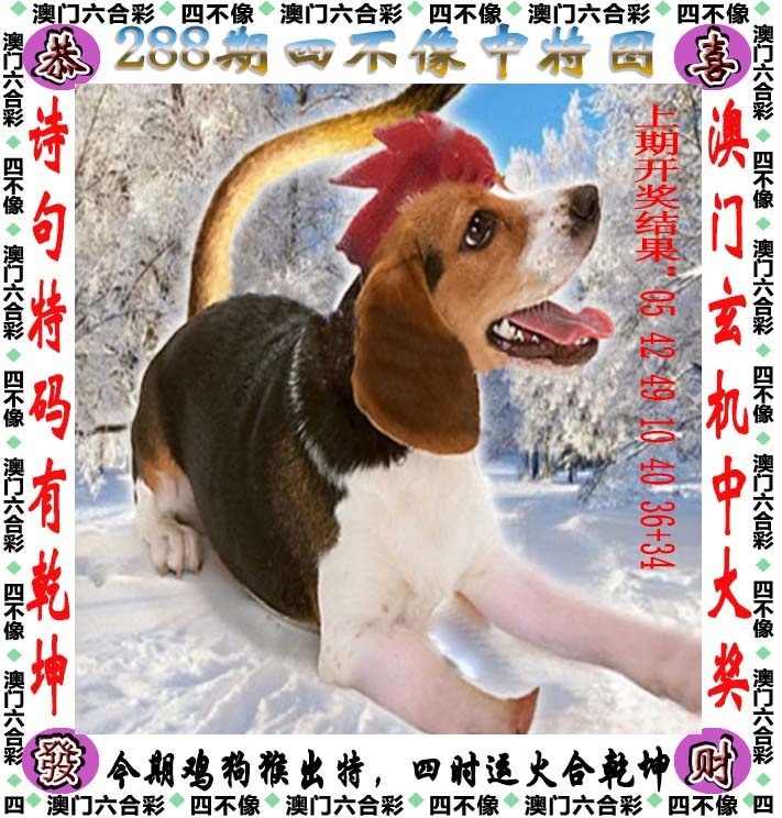 2025288期：澳门四不像，描绘205期澳门天天彩玄机:今期生肖出农家;解析2025新澳门天天免费4肖8码：【牛龙蛇马,2-10-20-23-32-34-39-48】