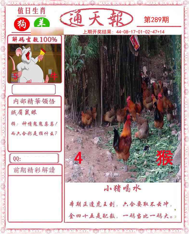 2025289期：正版通天报，描绘2025资料正版大全玄机:望羊看马见;解析2025年正版天天免费本4肖8码：【鼠虎蛇鸡,6-15-18-27-28-31-45-49】