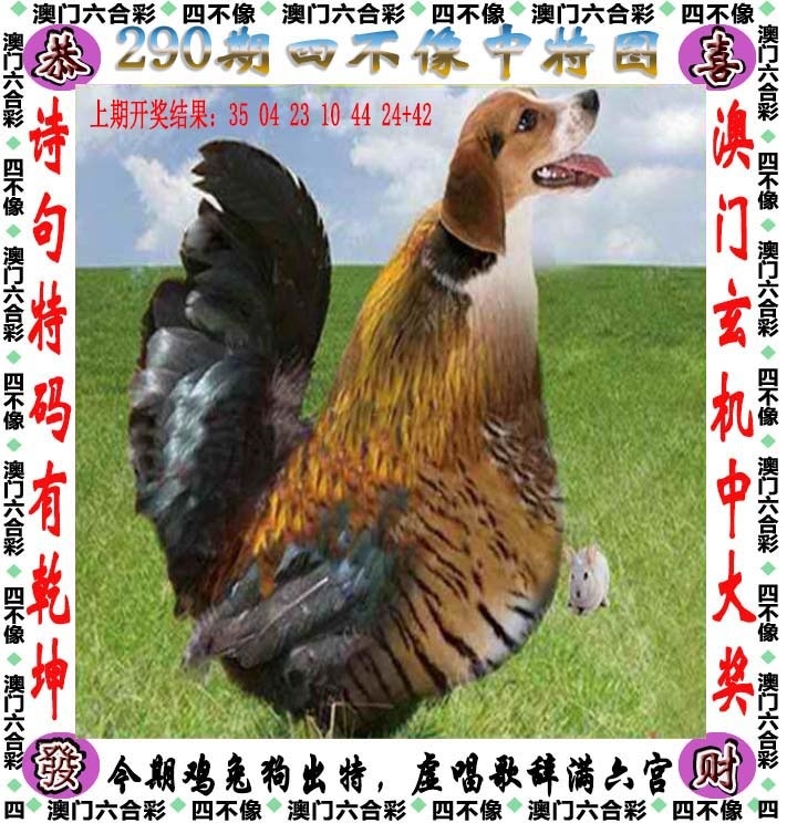 2025290期：澳门四不像，描绘205期澳门天天彩玄机:有男有女正合身;解析2025新澳门天天免费3肖6码：【兔蛇猪,10-19-20-21-34-49】