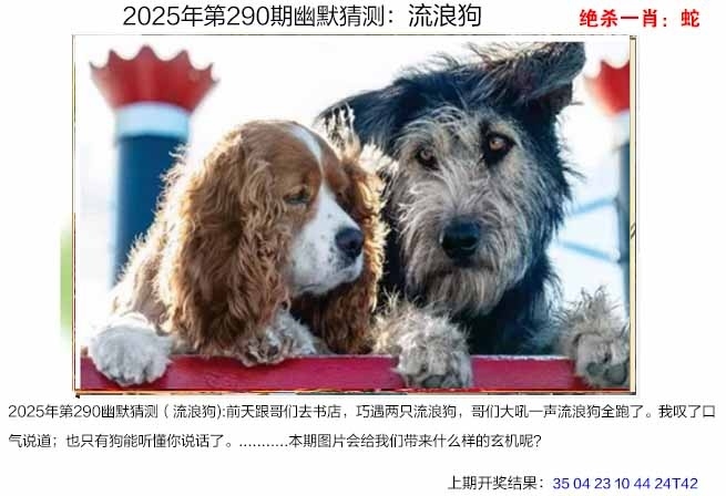 2025290期：澳幽默猜测，描绘205期澳门天天彩玄机:有男有女正合身;解析2025新澳门免费挂牌真假3肖6码：【兔蛇猪,10-19-20-21-34-49】