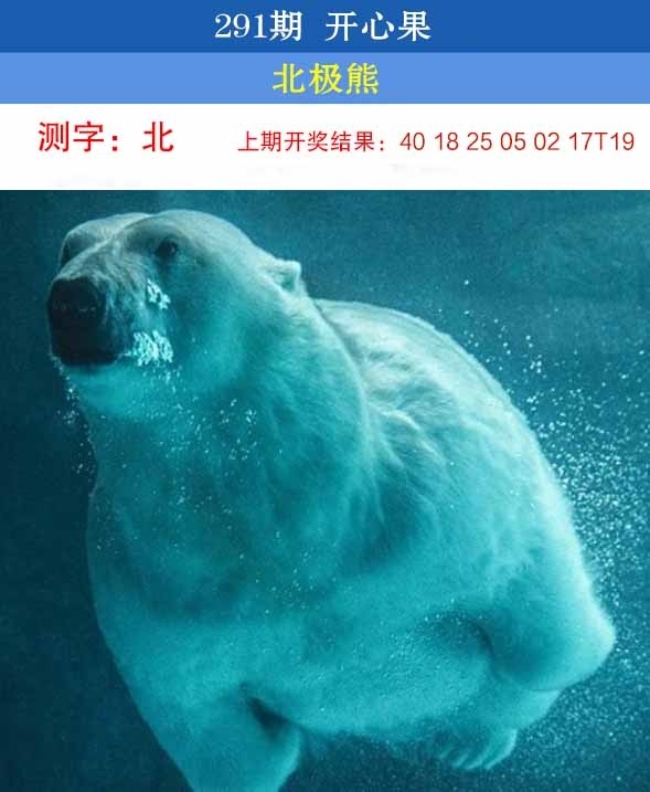 2025291期：开心果先锋，描绘2025澳门今晚开奖结果玄机:六六大顺二八来;解析2025开奖结果记录查询表5肖10码：【虎龙蛇马猴,1-15-23-33-34-35-39-43-45-47】