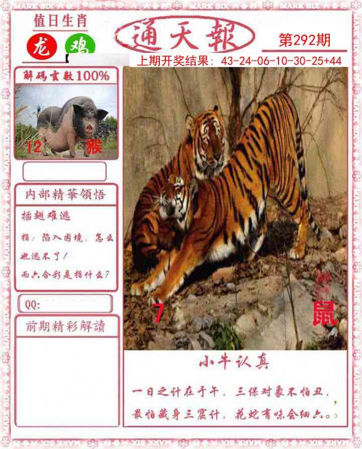 2025292期：通天报解码，描绘205期澳门天天彩玄机:东宫西攻各分半;解析2025新澳门冷码表6肖12码：【鼠虎兔羊猴鸡,3-4-9-14-28-29-31-32-33-35-38-49】