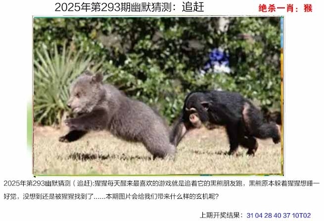 2025293期：澳幽默猜测，描绘205期澳门天天彩玄机:蓝红开出生肖东;解析2025澳门今晚金牌谜语4肖8码：【鼠兔蛇鸡,1-7-24-26-35-36-37-38】