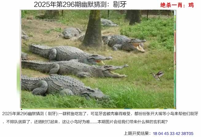 2025296期：澳幽默猜测，描绘205期澳门天天彩玄机:特码生肖不用查;解析2025澳门今晚金牌谜语3肖6码：【鼠牛虎,21-33-34-41-43-45】