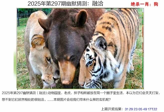 2025297期：澳幽默猜测，描绘205期澳门天天彩玄机:红蓝两波发大家;解析2025澳门今晚金牌谜语5肖10码：【鼠牛龙蛇猪,3-12-18-23-26-30-32-35-39-46】