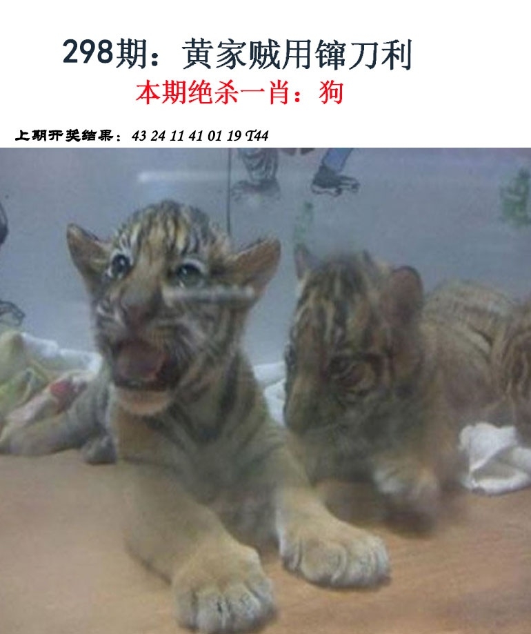 2025298期：金钱豹功夫，描绘205期澳门天天彩玄机:此句特码寻国师;解析2025年新奥期期准6肖12码：【牛兔龙羊猴狗,1-3-5-9-10-17-18-29-30-31-35-46】