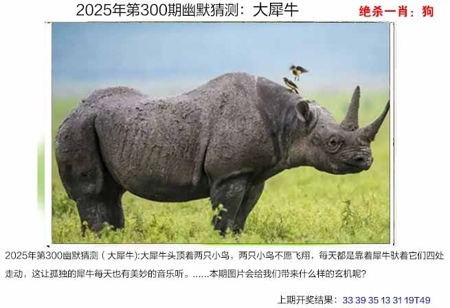 2025300期：澳幽默猜测，描绘205期澳门天天彩玄机:三流九教江湖客;解析2025澳门今晚金牌谜语6肖12码：【牛虎兔龙羊猴,2-8-10-14-18-21-23-28-31-33-38-42】