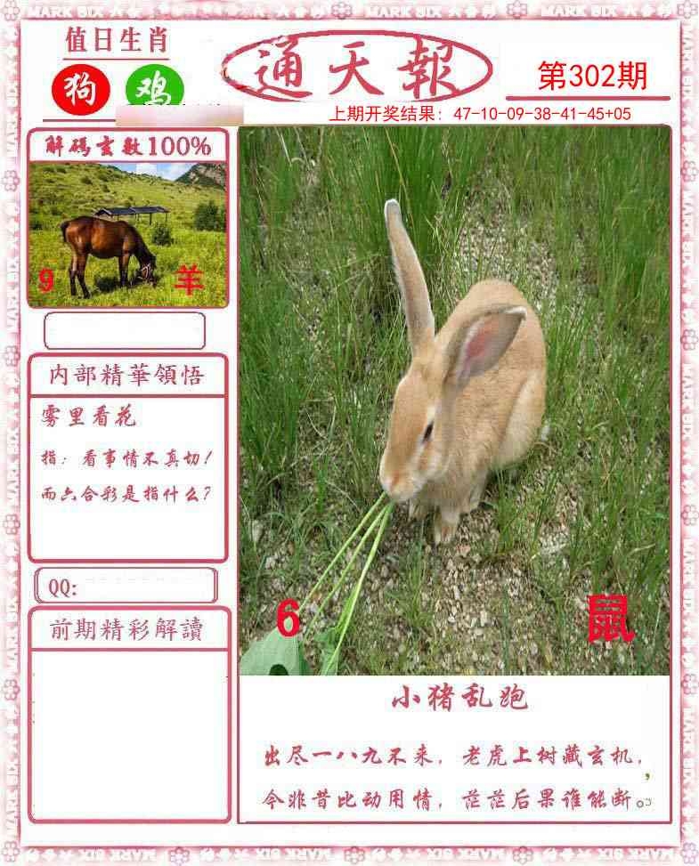 2025302期：通天报解码，描绘205期澳门天天彩玄机:今期生肖定北方;解析2025新澳门冷码表3肖6码：【兔鸡狗,14-23-25-34-38-43】