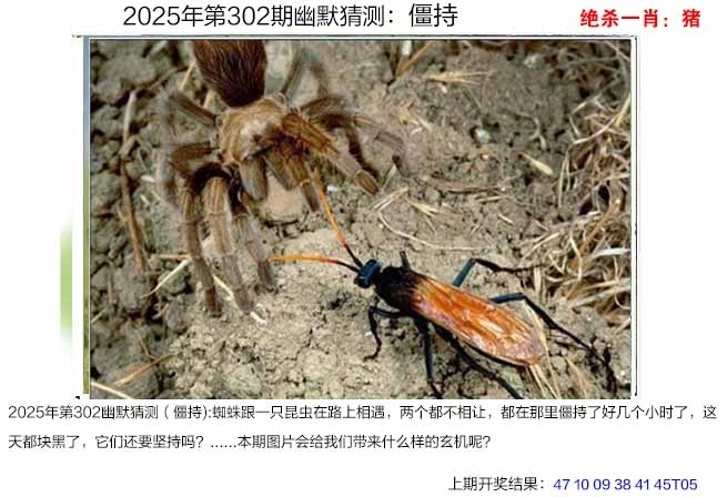 2025302期：澳幽默猜测，描绘205期澳门天天彩玄机:今期生肖定北方;解析2025澳门今晚金牌谜语3肖6码：【兔鸡狗,14-23-25-34-38-43】
