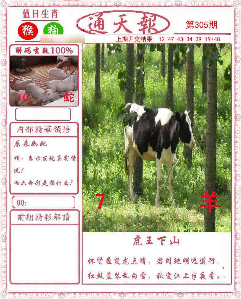 2025305期：正版通天报，描绘2025最全免费正版大全玄机:十七十八正少年;解析2025年正版天天免费5肖10码：【虎马猴鸡猪,3-12-14-28-30-32-33-35-45-48】