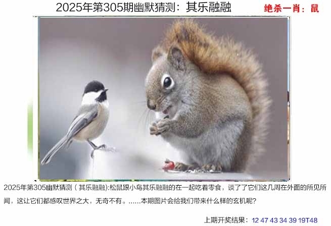 2025305期：澳幽默猜测，描绘205期澳门天天彩玄机:十七十八正少年;解析2025澳门今晚金牌谜语5肖10码：【虎马猴鸡猪,3-12-14-28-30-32-33-35-45-48】