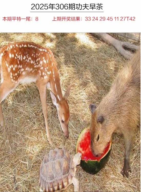 2025306期：功夫早茶图，描绘205期澳门天天彩玄机:看好特码你有缘;解析2025年天天彩资料全集6肖12码：【鼠牛兔蛇羊鸡,1-2-3-9-11-19-20-28-32-38-39-40】