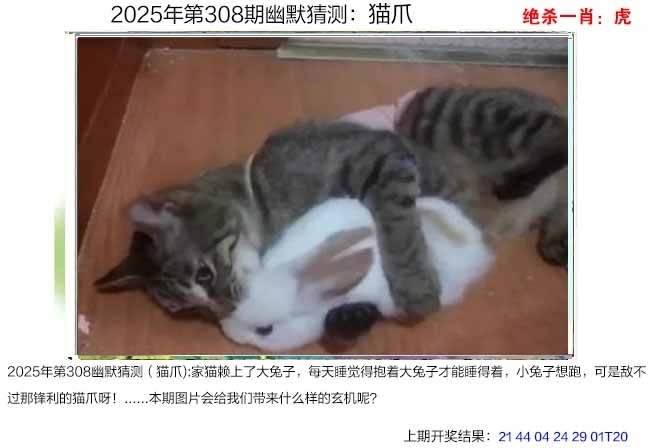 2025308期：澳幽默猜测，描绘205期澳门天天彩玄机:灵蛇鼠洞一湖天;解析2025澳门今晚金牌谜语4肖8码：【兔蛇猴猪,2-5-6-7-10-23-27-42】