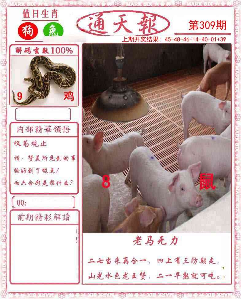 2025309期：正版通天报，描绘2025资料正版大全玄机:欲钱买身小脚小的 (猪虎);解析2025最全免费正版大全3肖6码：【牛龙鸡,8-17-18-36-39-49】