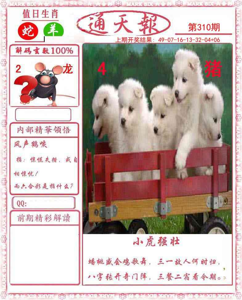 2025310期：正版通天报，描绘2025资料正版大全玄机:今期特门一二七;解析2025最全免费正版大全3肖6码：【马狗猪,3-11-12-22-29-30】