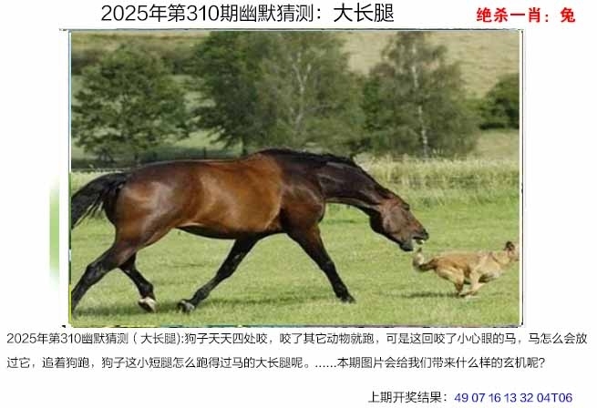 2025310期：澳幽默猜测，描绘2025年港澳免费看资料玄机:今期特门一二七;解析2025澳门今晚金牌谜语3肖6码：【马狗猪,3-11-12-22-29-30】
