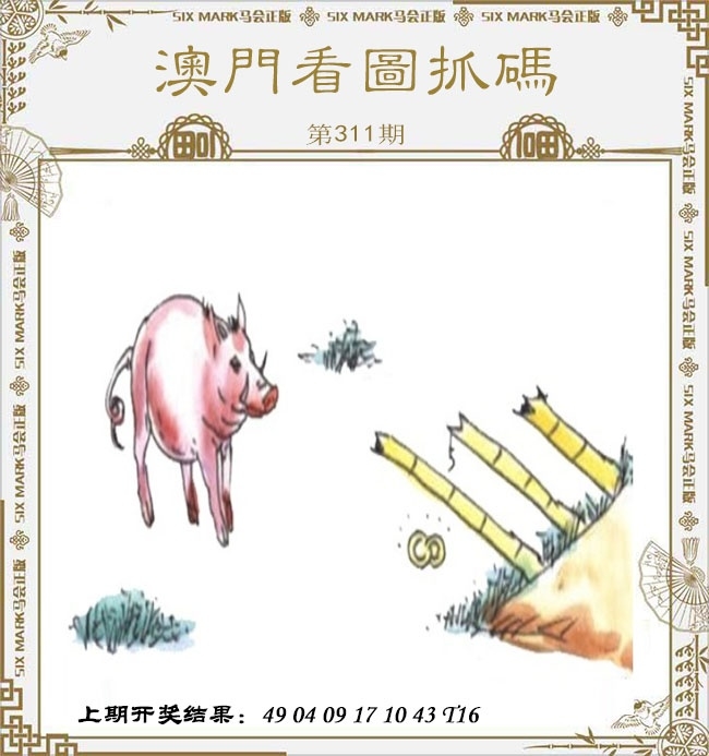 2025311期：看图抓码图，描绘2025图片图库大全玄机:二八作伴有玄机;解析2025图片图库资料大全5肖10码：【鼠蛇猴鸡狗,2-9-15-17-18-20-22-24-35-43】