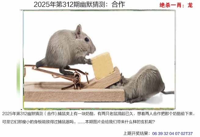 2025312期：澳幽默猜测，描绘2025年港澳免费看资料玄机:说破玄机不为奇;解析2025澳门今晚金牌谜语3肖6码：【牛蛇羊,2-3-21-28-32-35】