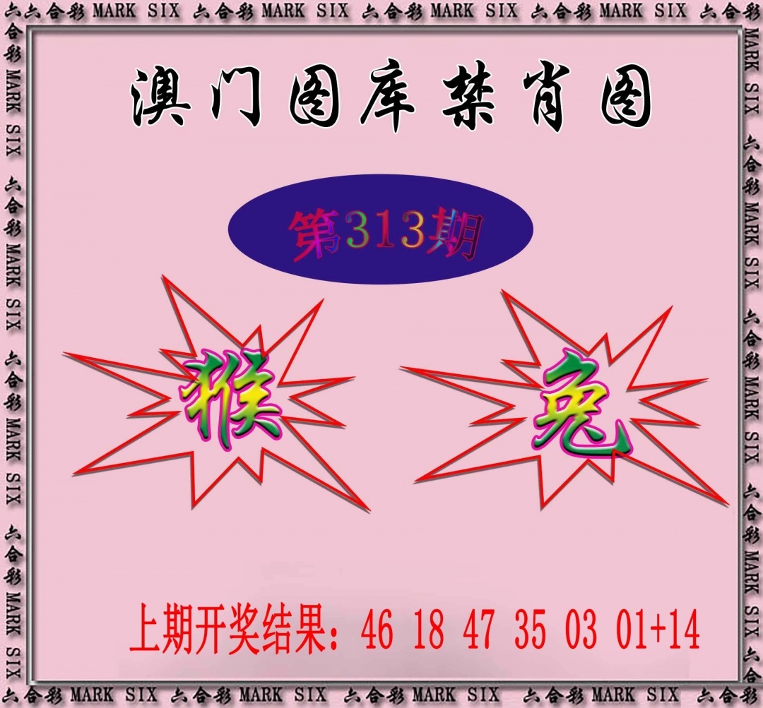 2025313期：新图库禁肖，描绘2025最新免费资料玄机:欲钱去找去年十—期(兔马);解析2025年最新免费资料3肖6码：【蛇羊猴,3-6-24-25-26-48】
