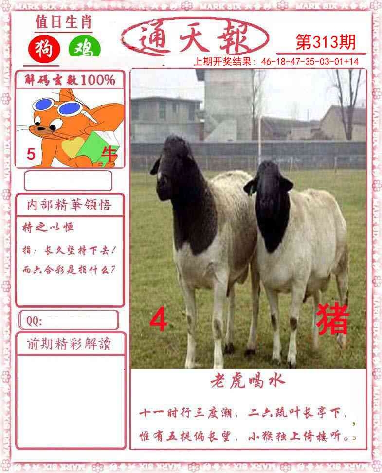 2025313期：通天报解码，描绘2025新奥门天天免费观看玄机:欲钱去找去年十—期(兔马);解析2025新澳门冷码表3肖6码：【蛇羊猴,3-6-24-25-26-48】