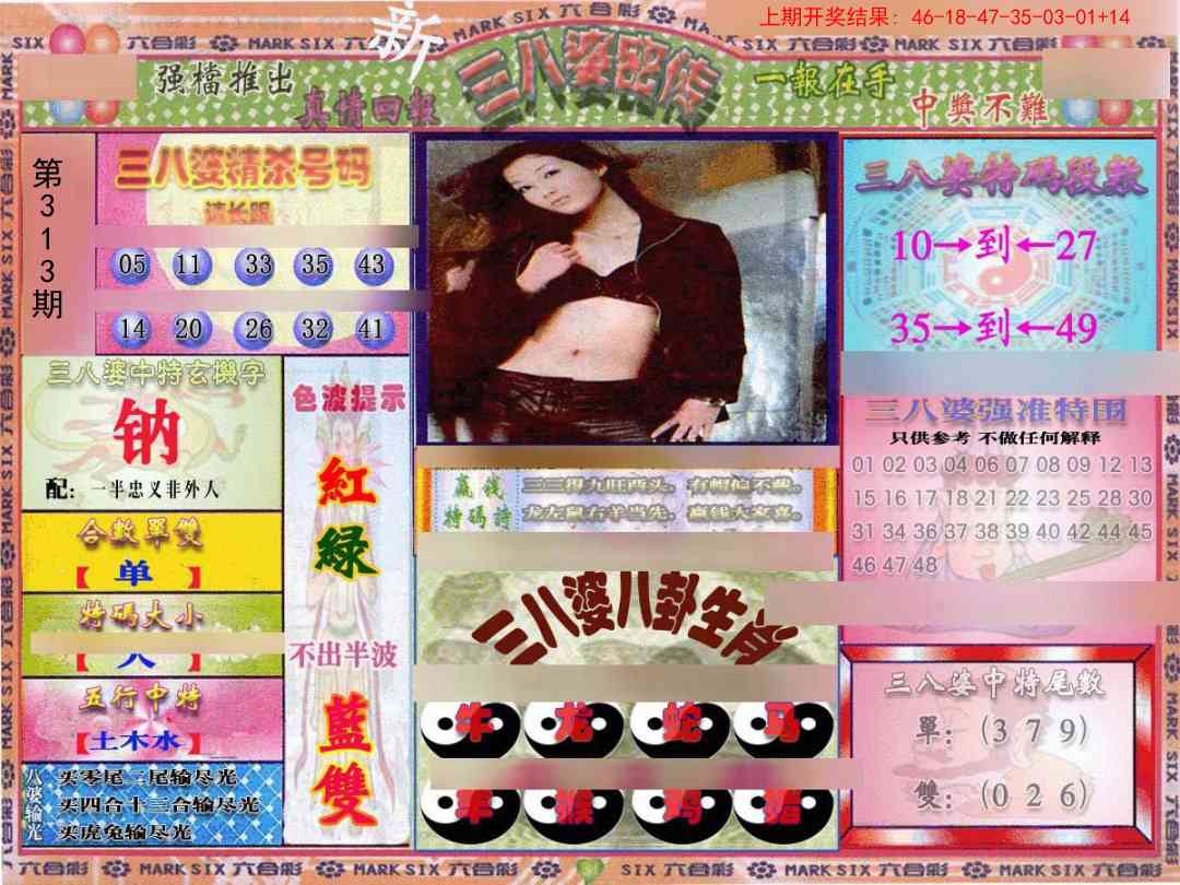 2025313期：三八婆密报，描绘2025港资料免费大全玄机:欲钱去找去年十—期(兔马);解析2025全年兔费资料3肖6码：【蛇羊猴,3-6-24-25-26-48】