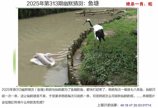2025313期：澳幽默猜测，描绘2025年港澳免费看资料玄机:欲钱去找去年十—期(兔马);解析2025澳门今晚金牌谜语3肖6码：【蛇羊猴,3-6-24-25-26-48】