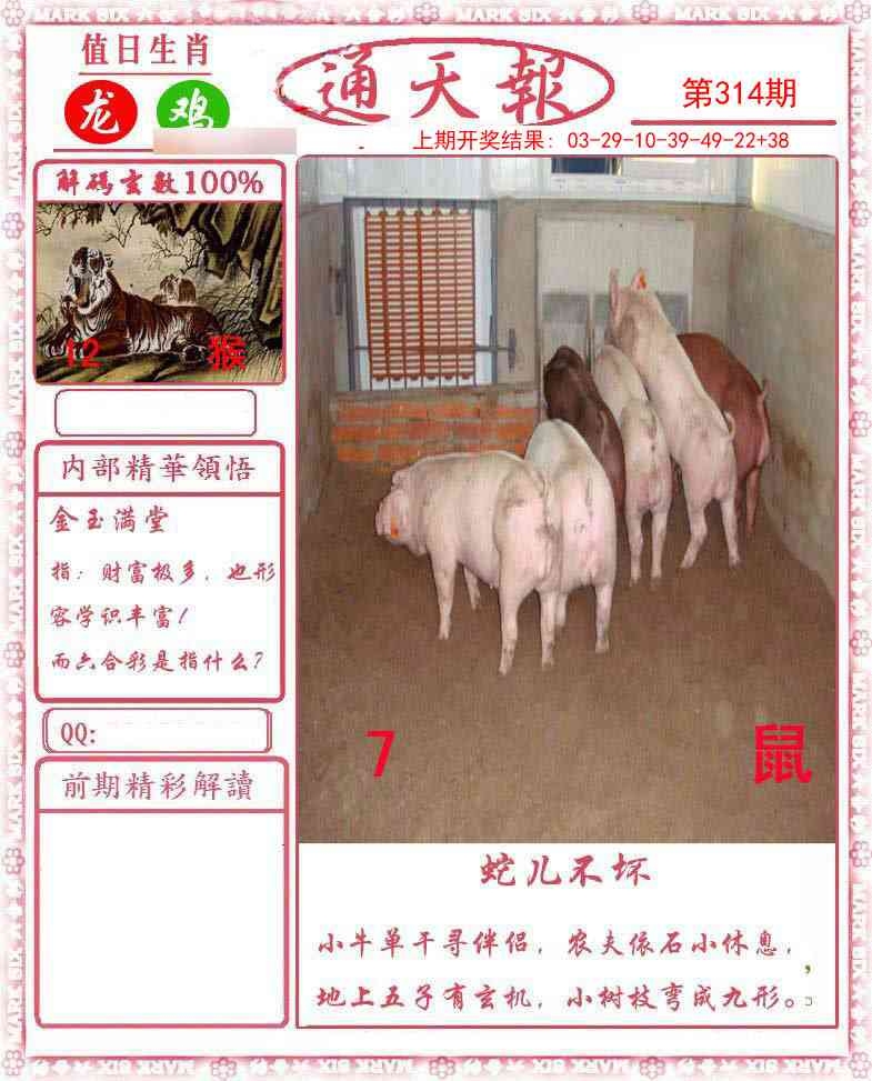 2025314期：正版通天报，描绘2025资料正版大全玄机:开大开小自然知;解析2025最全免费正版大全6肖12码：【鼠牛虎蛇马猪,2-7-12-18-24-25-34-36-40-43-47-49】