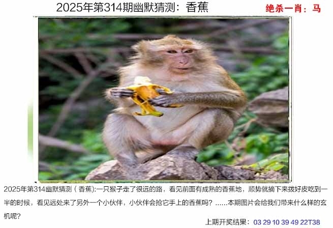 2025314期：澳幽默猜测，描绘2025年港澳免费看资料玄机:开大开小自然知;解析2025澳门今晚金牌谜语6肖12码：【鼠牛虎蛇马猪,2-7-12-18-24-25-34-36-40-43-47-49】