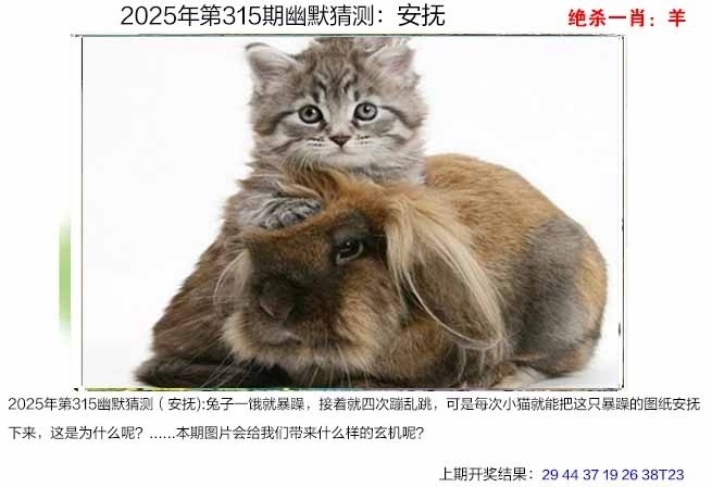 2025315期：澳幽默猜测，描绘2025年港澳免费看资料玄机:今期生肖三七开;解析2025澳门今晚金牌谜语6肖12码：【虎龙蛇羊鸡猪,4-6-10-11-13-16-20-36-37-38-43-45】