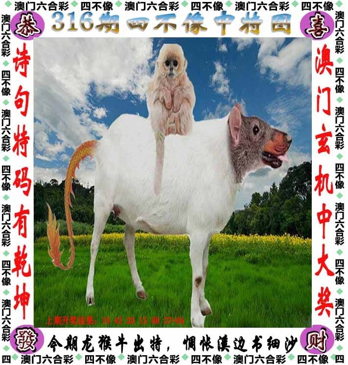 2025316期：澳门四不像，描绘2025新澳门冷码表玄机:六合出在百姓家;解析2025新澳门历史记录查询5肖10码：【虎兔龙鸡狗,7-10-12-13-14-18-21-29-43-48】