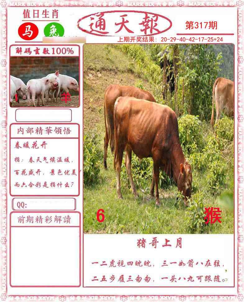 2025317期：正版通天报，描绘2025资料正版大全玄机:十年寒窗将过去;解析2025最全免费正版大全5肖10码：【兔龙蛇马鸡,2-6-10-12-20-21-27-31-35-47】