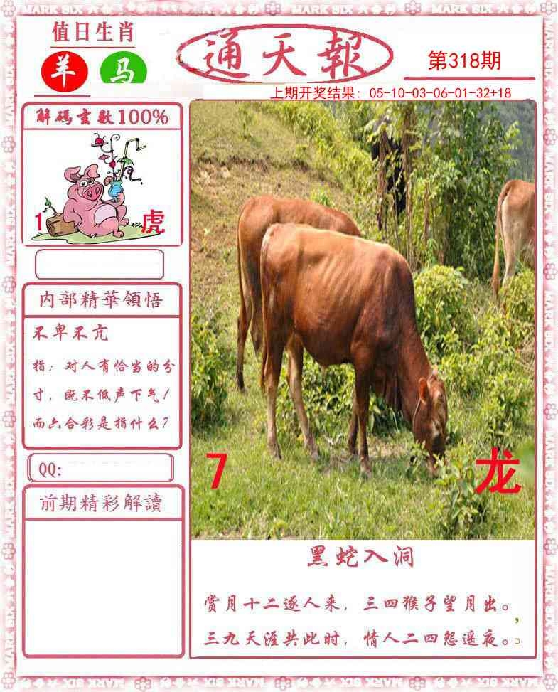 2025318期：通天报解码，描绘2025新奥门天天免费观看玄机:红蓝特码送大家;解析2025新澳门冷码表3肖6码：【鼠兔猴,1-12-20-26-31-37】