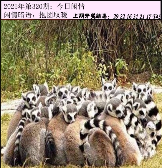 2025320期：今日闲情１，描绘2025澳门今晚金牌谜语玄机:欲钱买最珍贵的动物(猴狗);解析2025最新资料免费4肖8码：【牛龙蛇鸡,6-17-21-27-38-45-47-49】