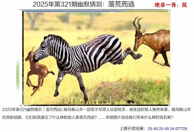 2025321期：澳幽默猜测，描绘2025年港澳免费看资料玄机:二五相合一七开;解析2025澳门今晚金牌谜语3肖6码：【兔鸡猪,2-3-12-13-24-29】
