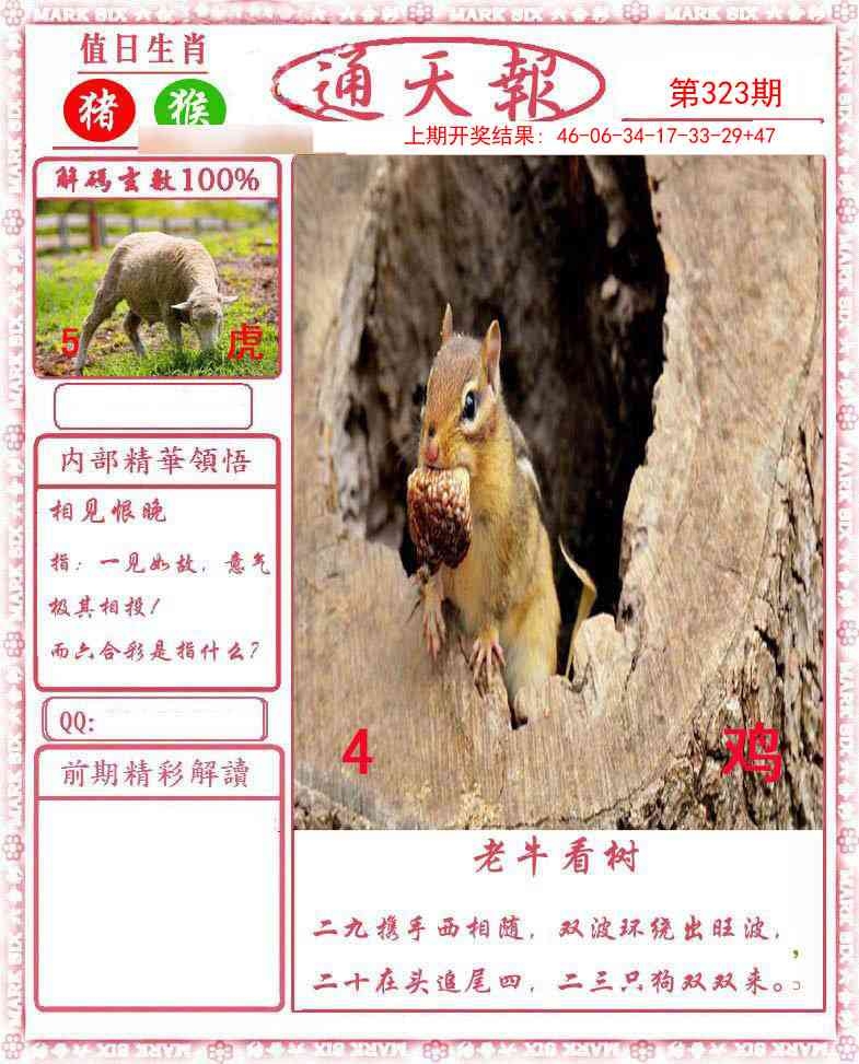 2025323期：通天报解码，描绘2025天天免费正版玄机:绿波单数万大财;解析2025新澳门天天开好彩大乐透号码5肖10码：【牛虎龙马猴,1-6-9-22-24-26-39-41-44-48】