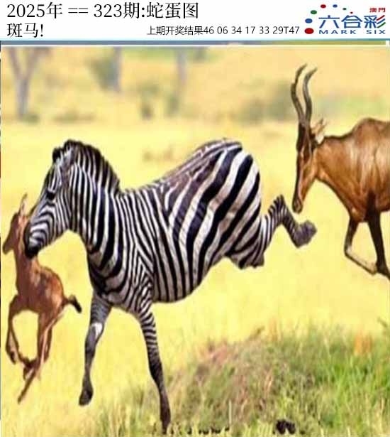2025323期：澳门蛇蛋图，描绘2025年新澳门资枓大全玄机:绿波单数万大财;解析2025年新澳门生肖牌5肖10码：【牛虎龙马猴,1-6-9-22-24-26-39-41-44-48】