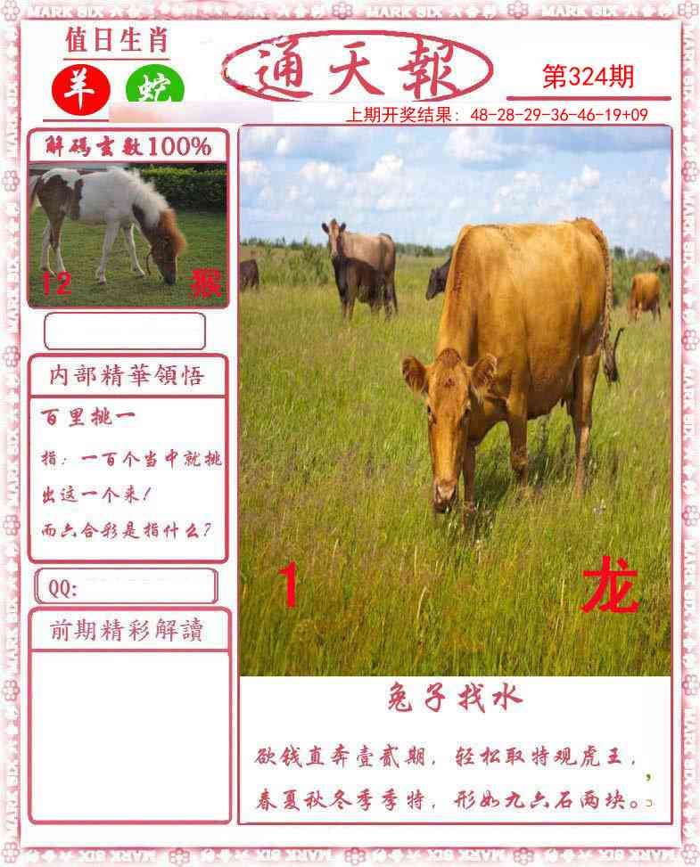 2025324期：正版通天报，描绘2025最全免费正版大全玄机:大将赤龙救世人;解析2025最新正版免费资料4肖8码：【牛羊狗猪,2-5-11-13-24-29-35-43】