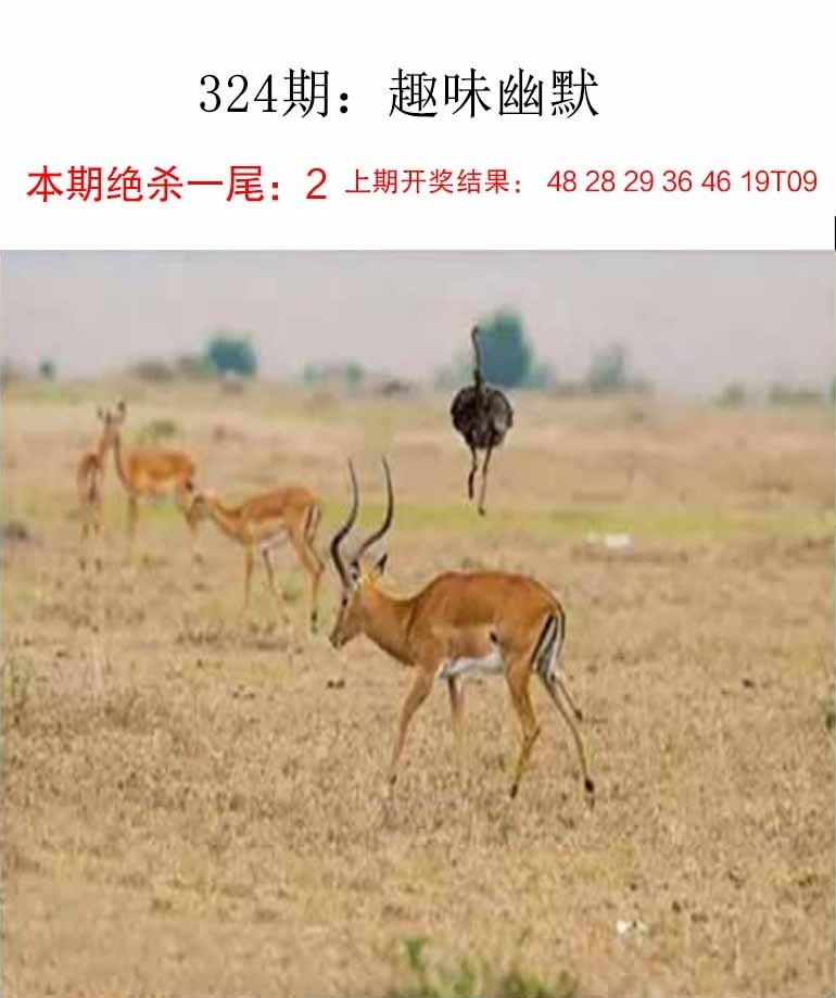 2025324期：新趣味幽默，描绘2025最新资料免费玄机:大将赤龙救世人;解析2025最新资料大全免费下载4肖8码：【牛羊狗猪,2-5-11-13-24-29-35-43】